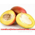 Africa Mango Seed Extract 